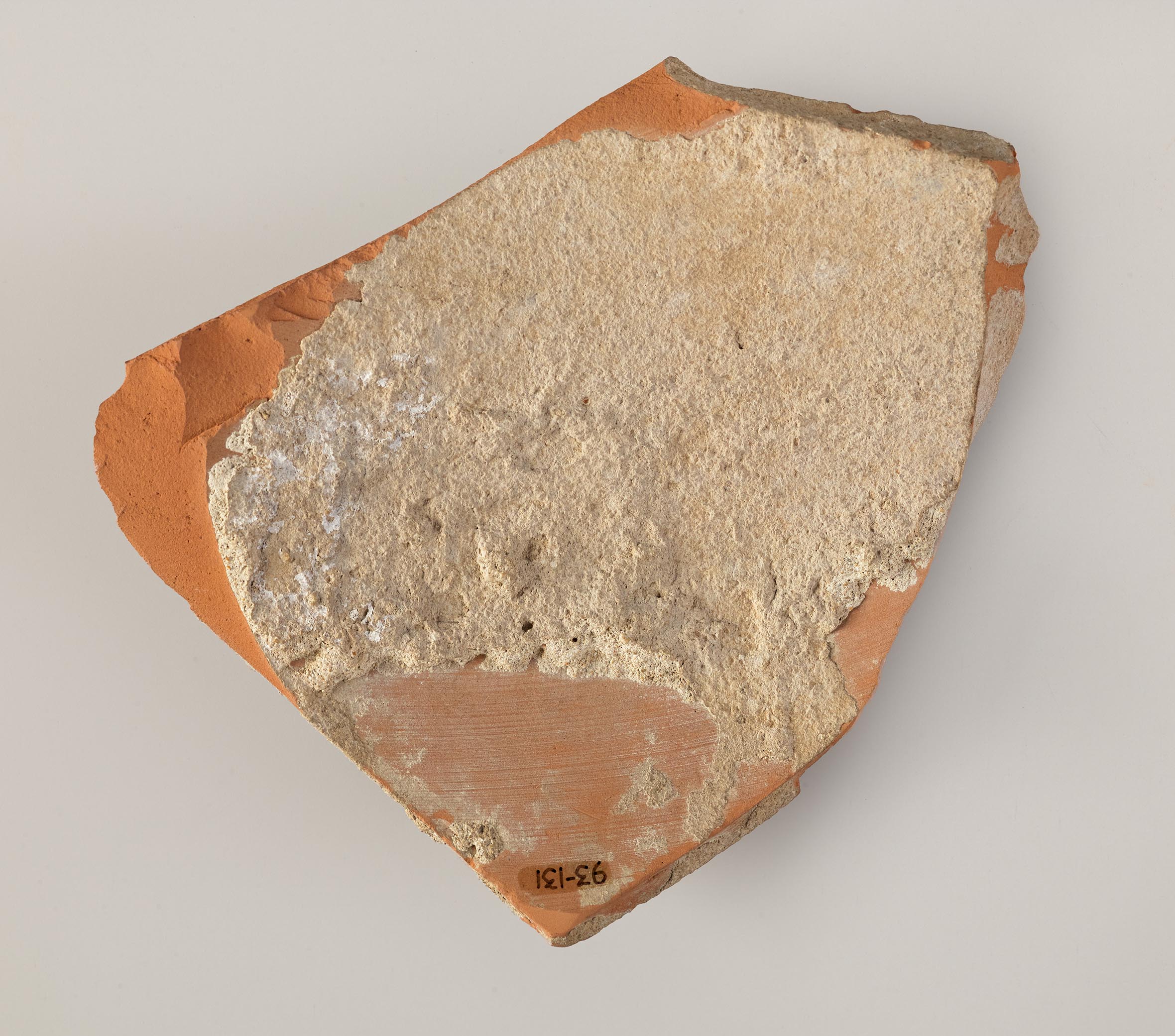 Interior view of the fragment
