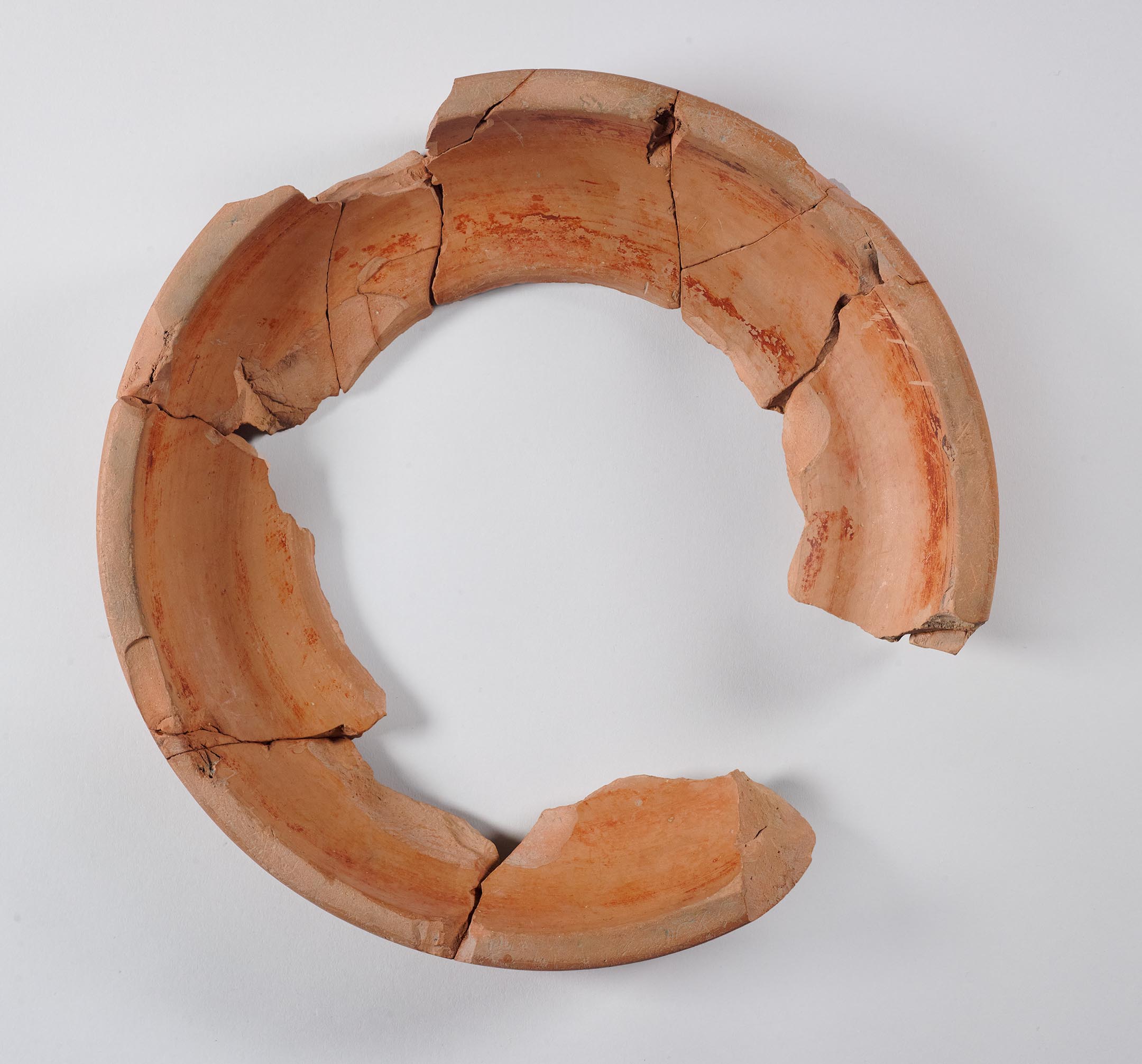 One view of fragments reconstructed to form the foot of a dinos