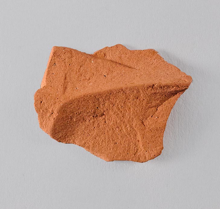 Interior view of the fragment