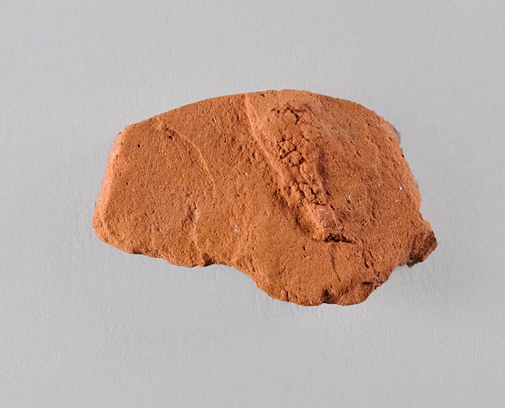 One fragment from the body of a vase