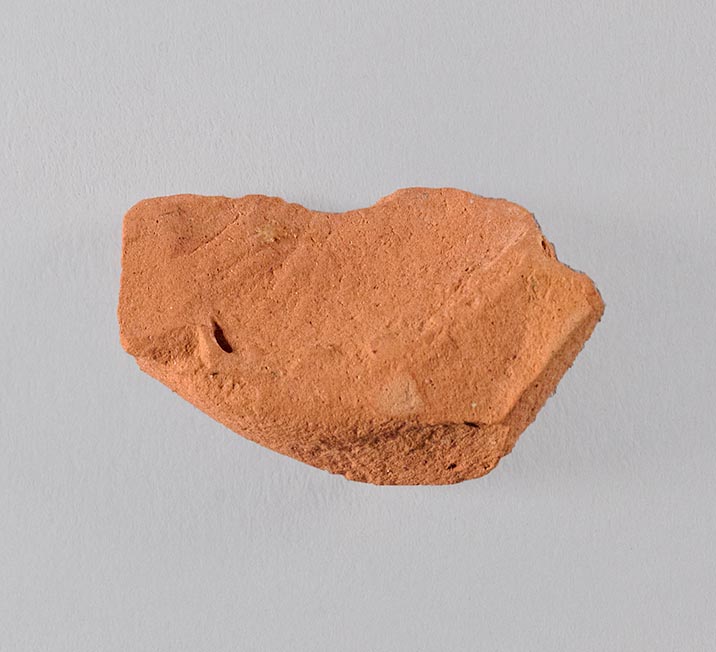 Interior view of the fragment