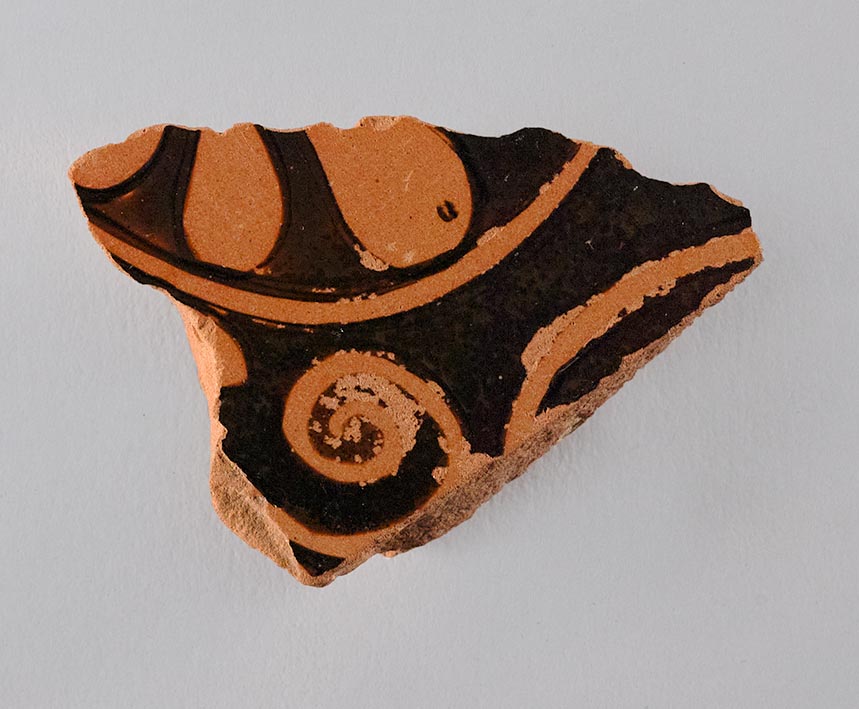 One fragment from the body of a vase, showing painted decoration