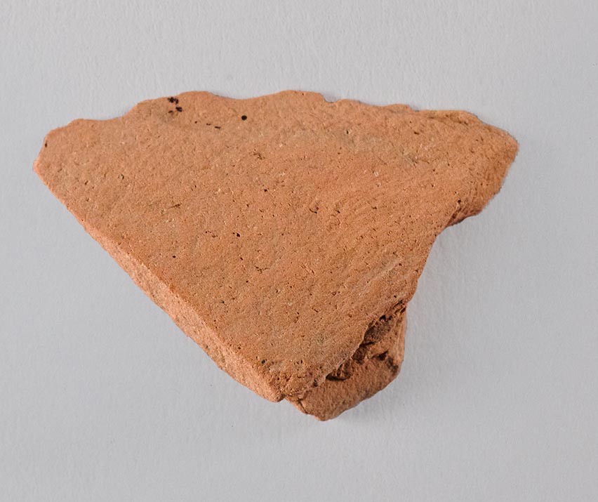 Interior view of the fragment