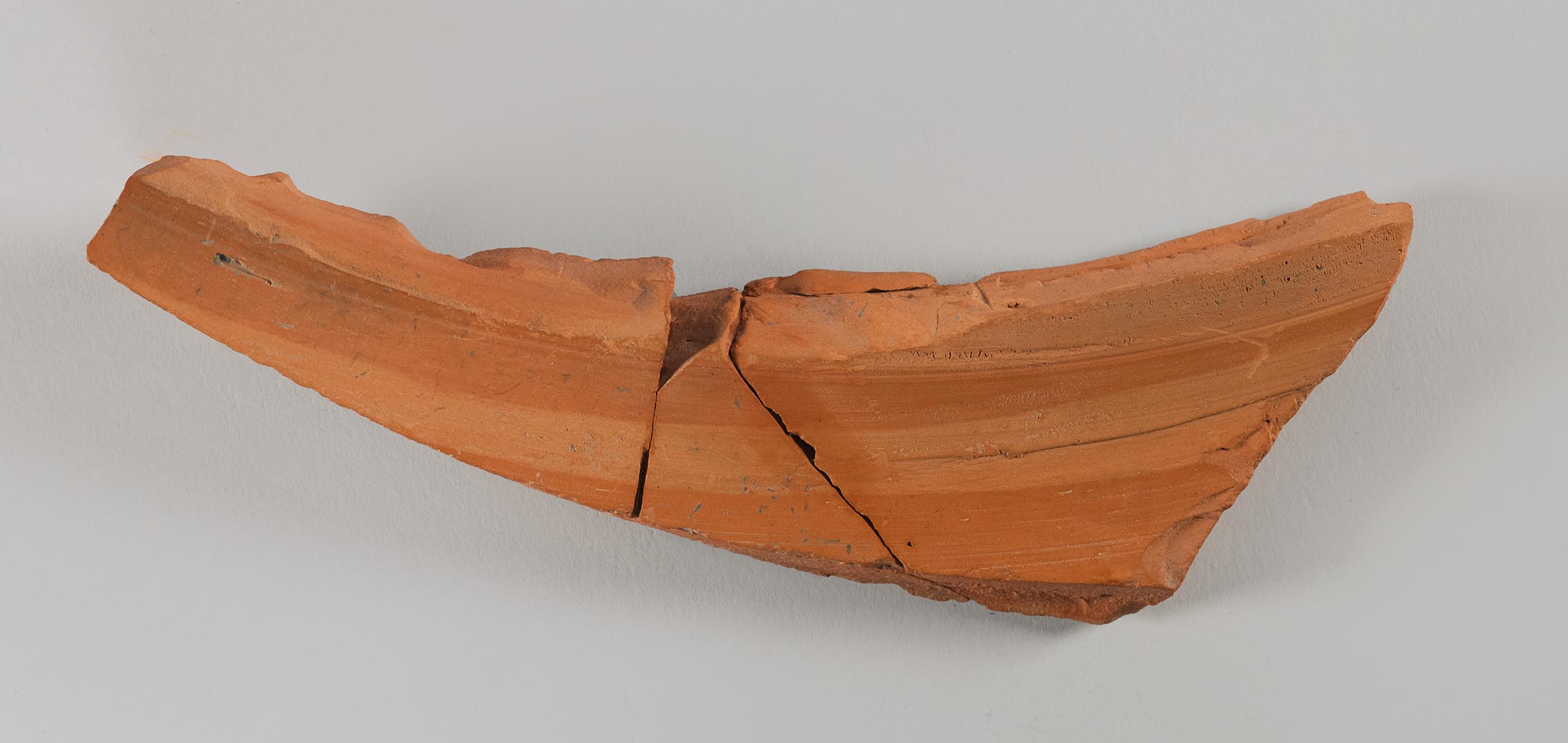 Interior view of the fragment