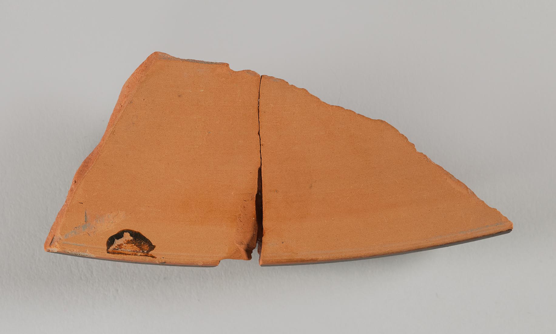 Interior view of the fragment