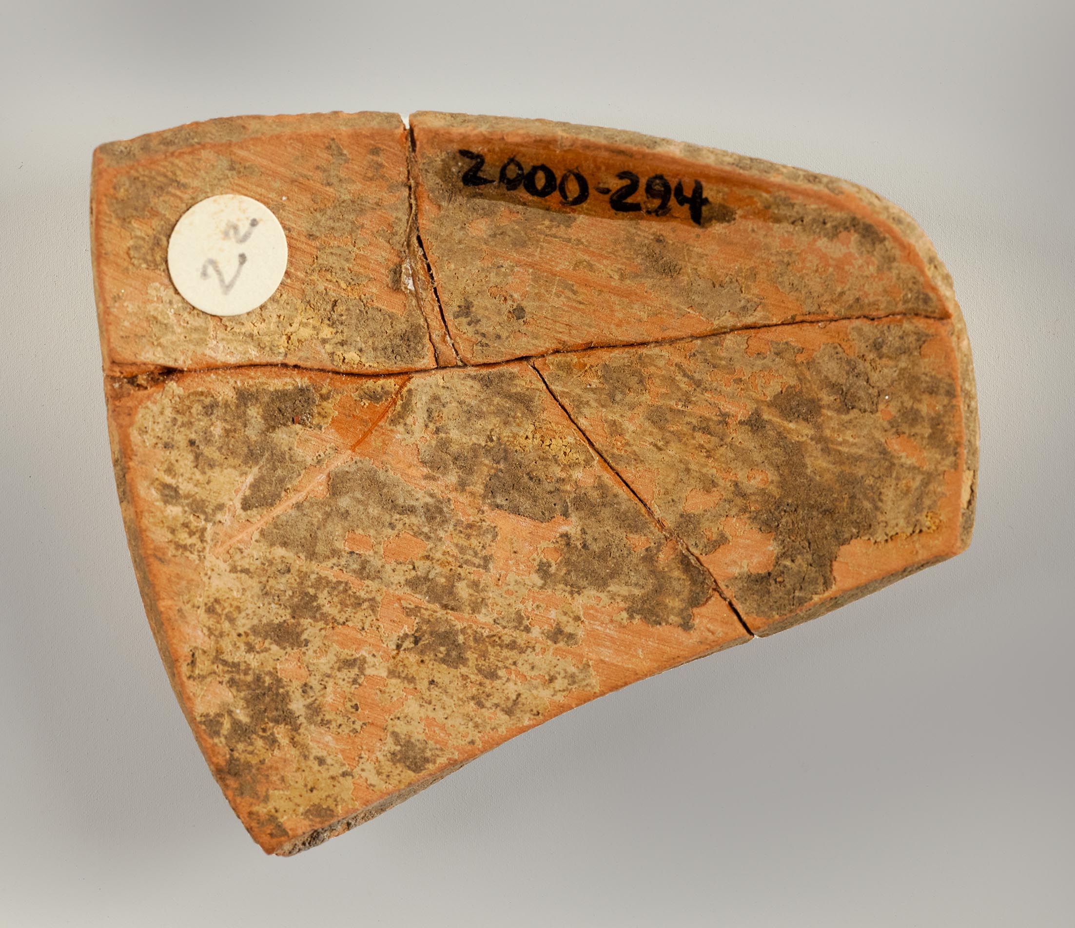 Interior view of the fragment