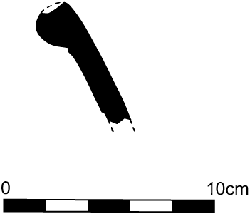 Line drawing profile view of the fragment
