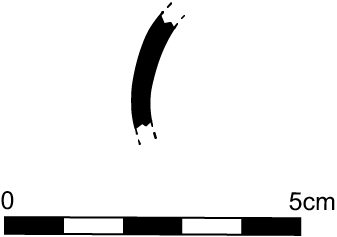 Line drawing profile view of the fragment