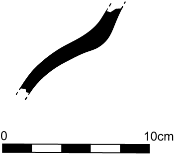 Line drawing profile view of the fragment