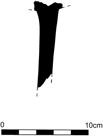 Line drawing profile view of the fragment