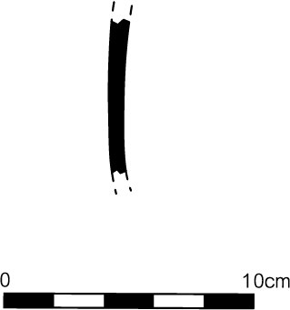 Line drawing profile view of the fragment