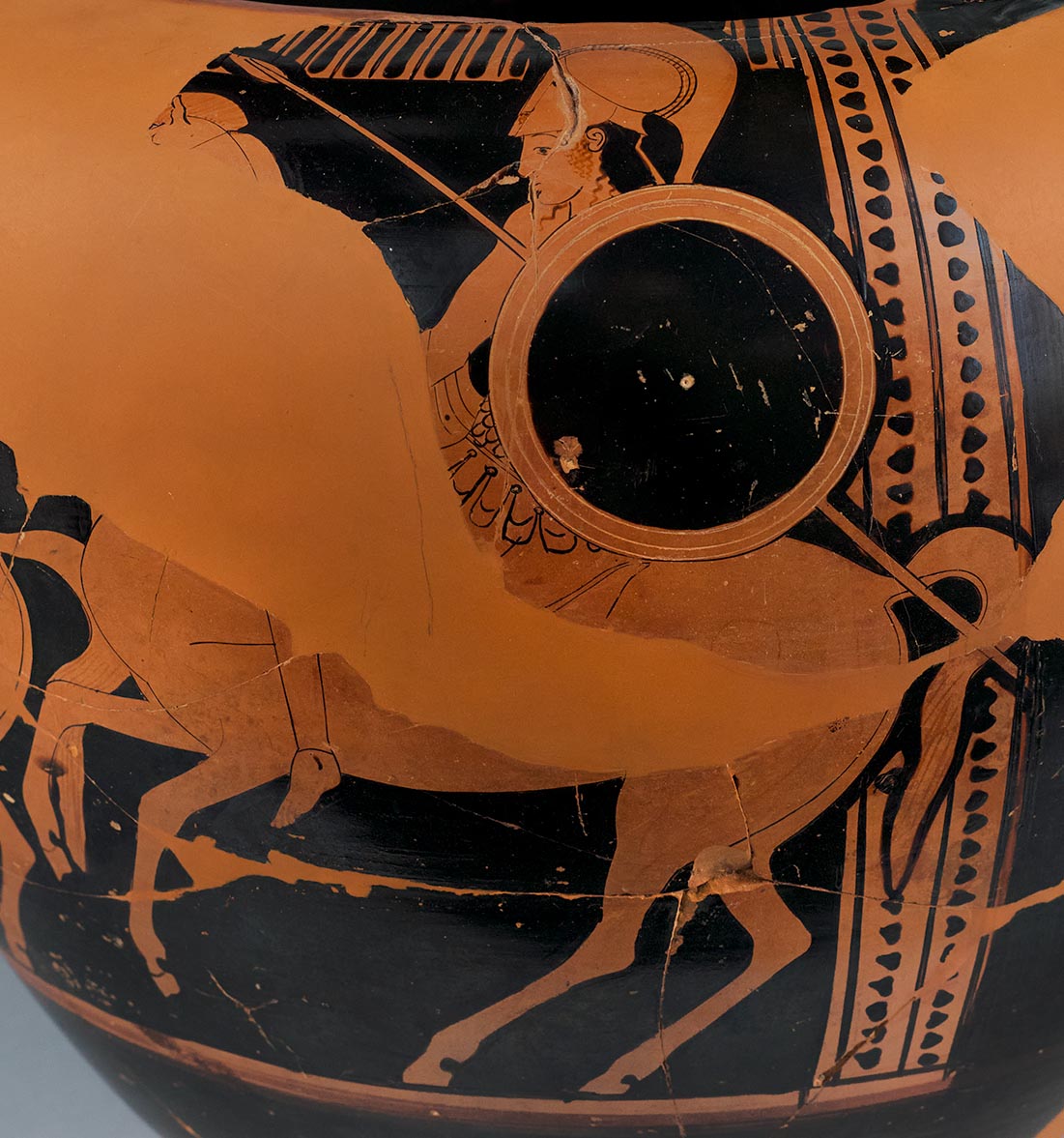 Detail showing another Amazon