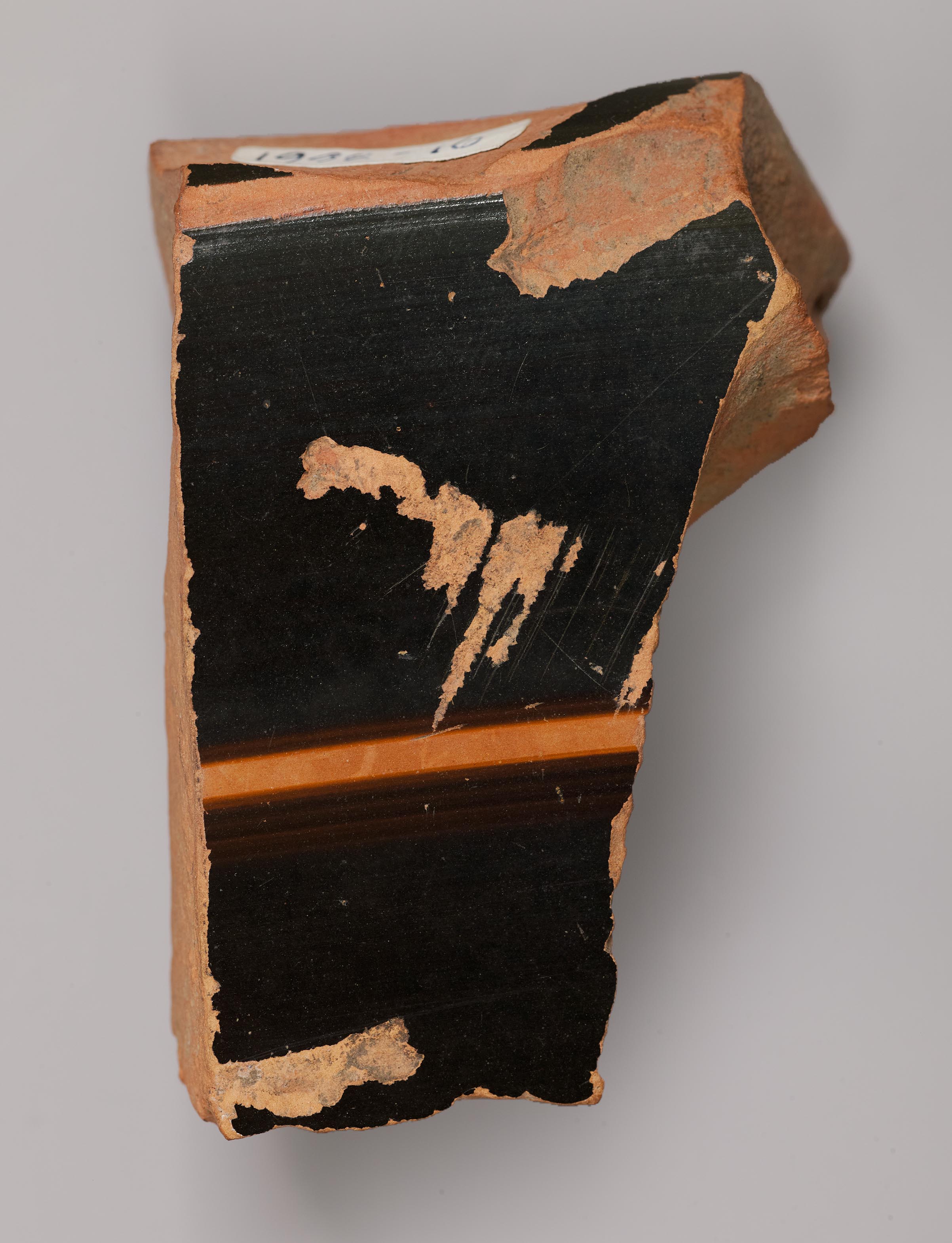 Interior view of the fragment, fired black
