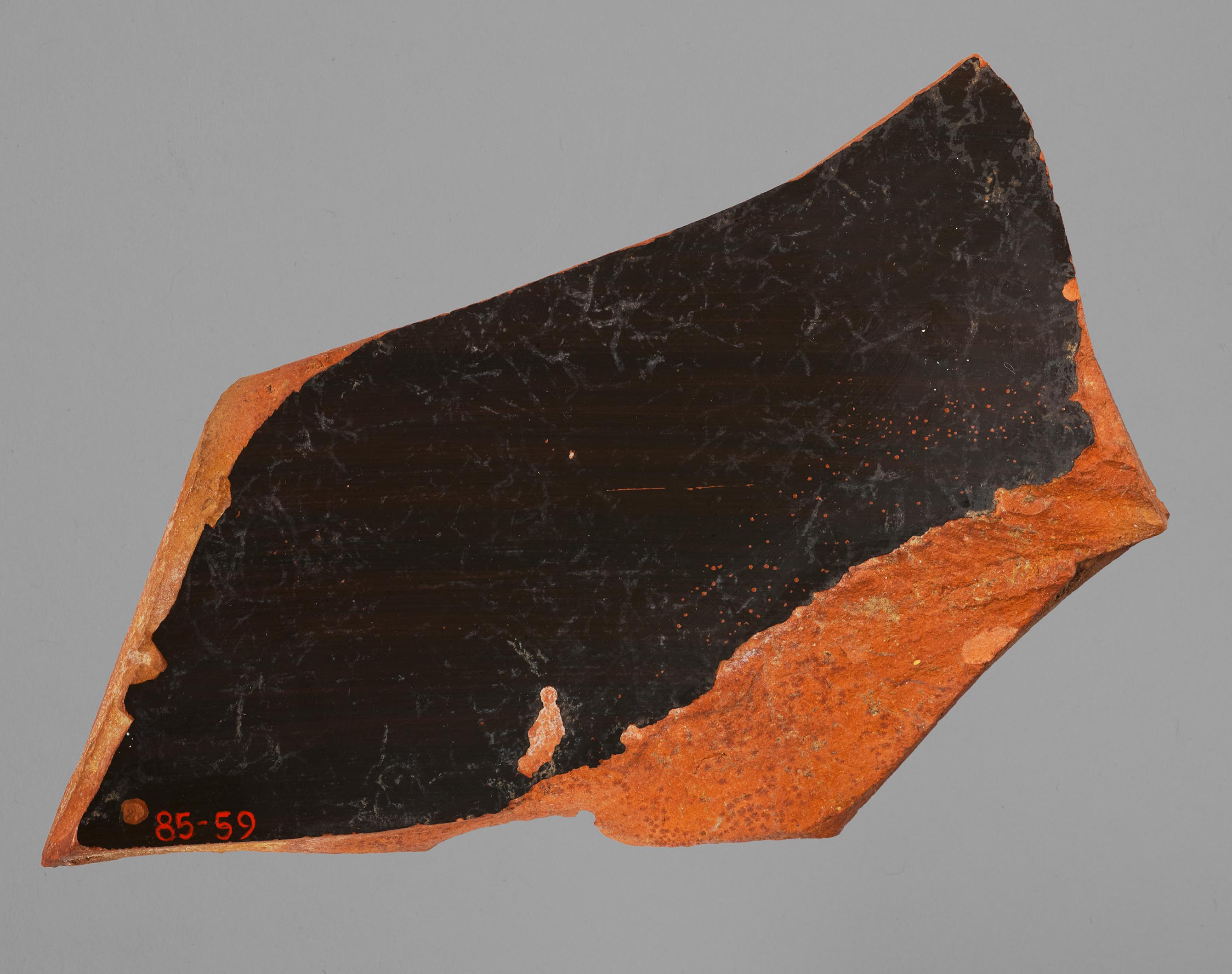 Interior view of the fragment, fired black