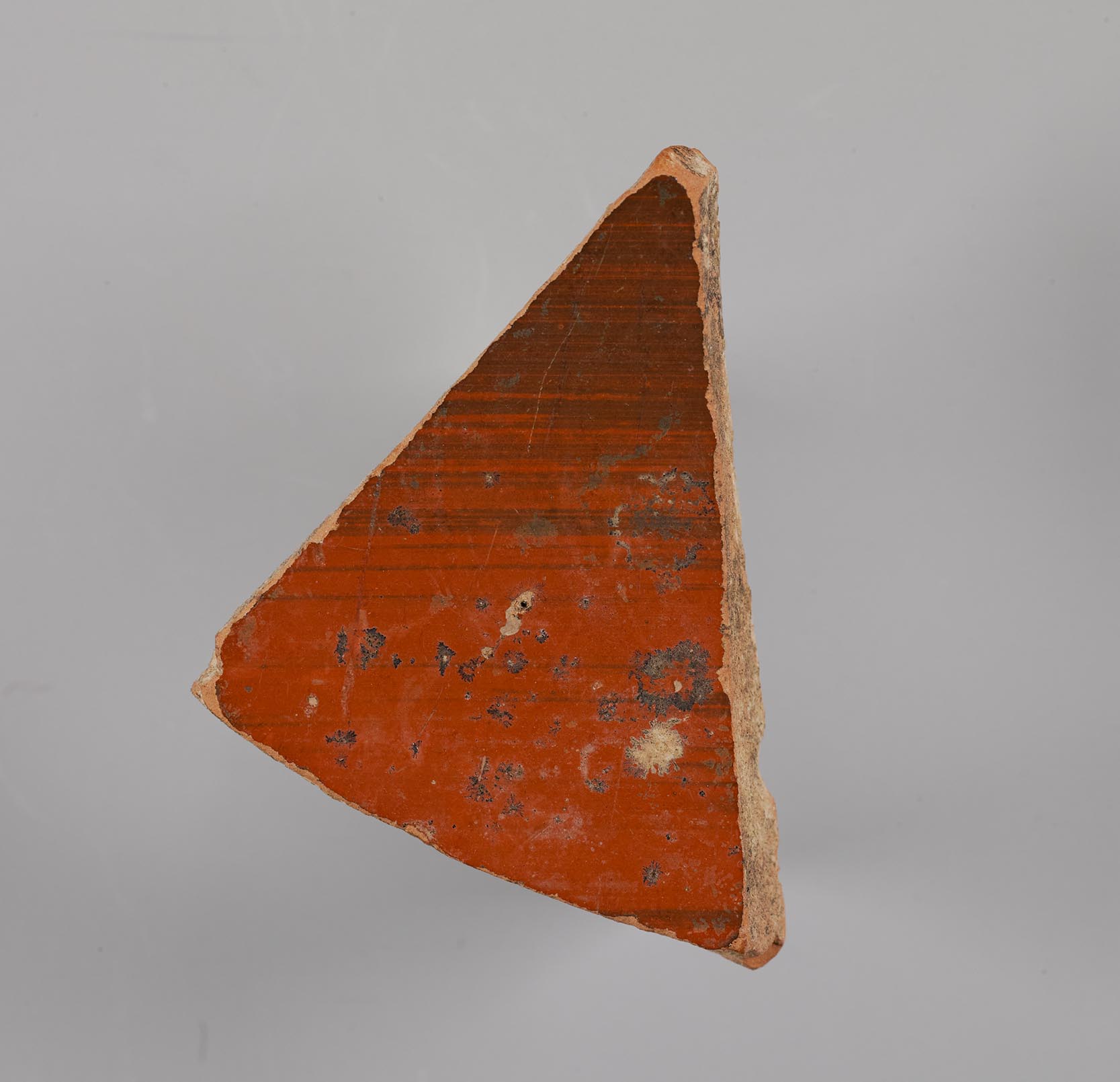 Interior view of the fragment