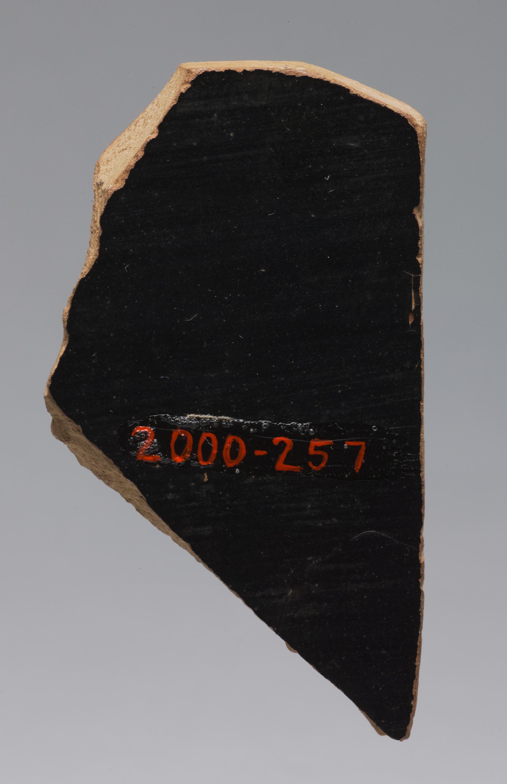 Interior view of the fragment, fired black