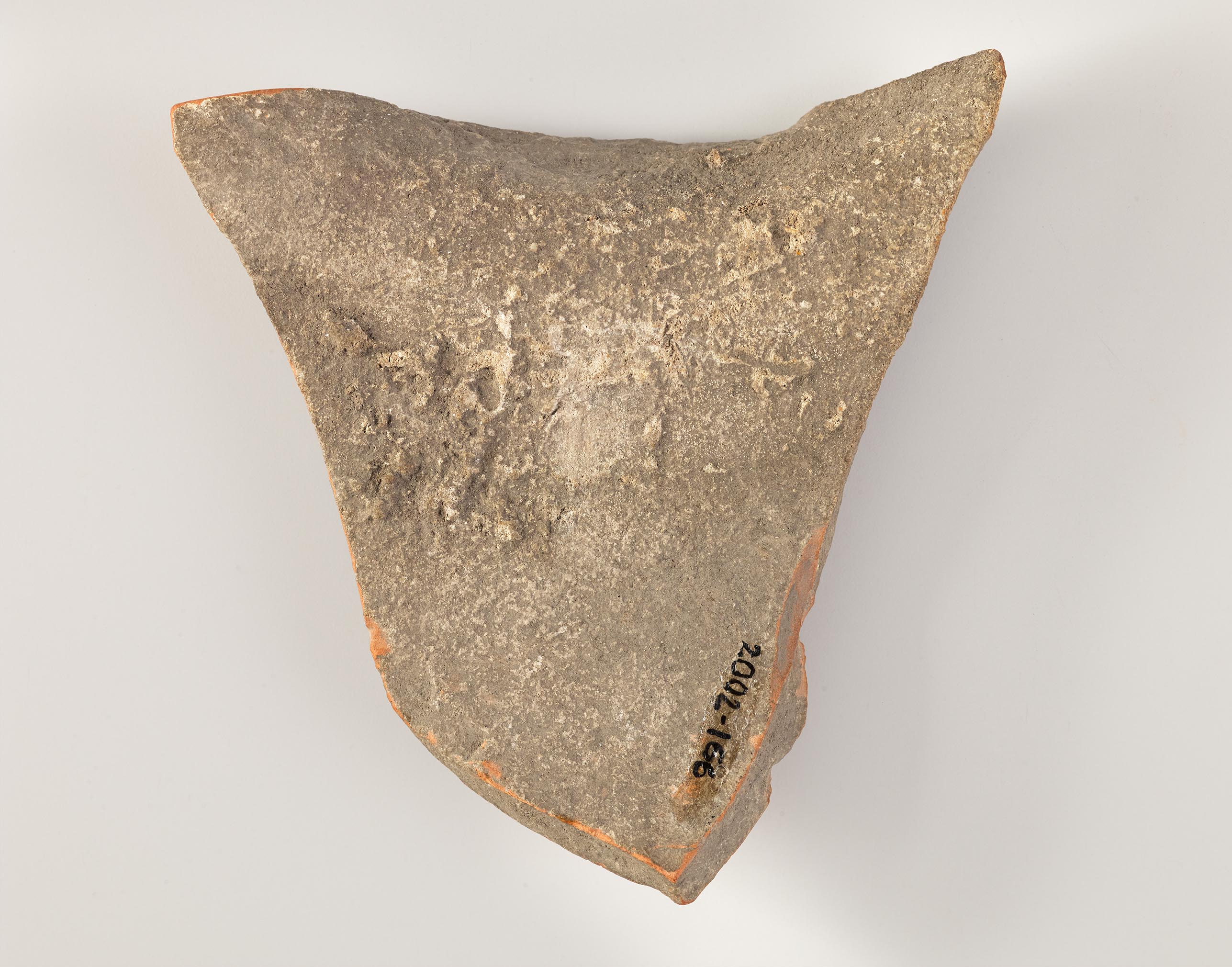 Interior view of the fragment