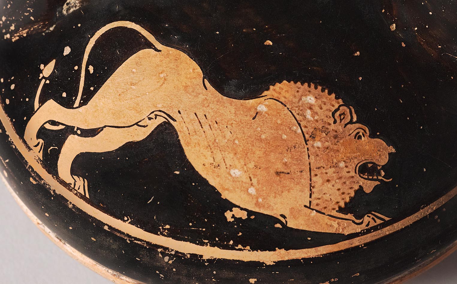 Detail showing the lion