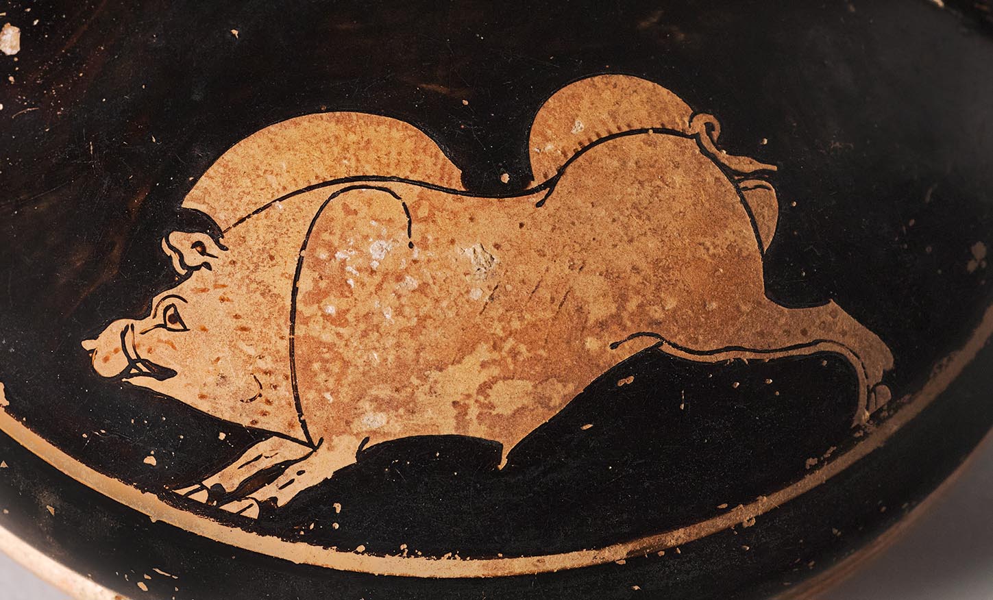 Detail showing the boar