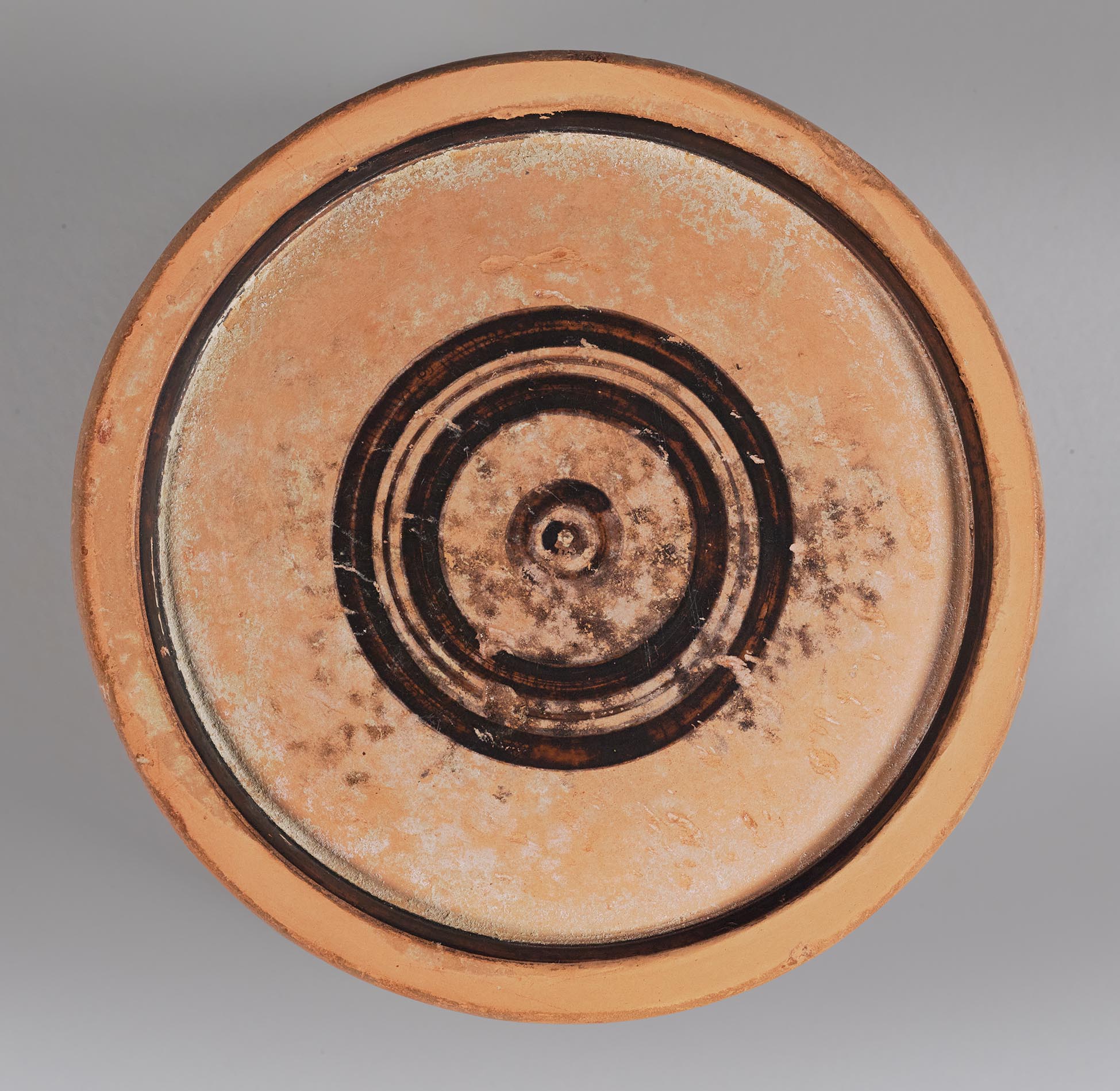 View of the bottom of the body, showing concentric circles