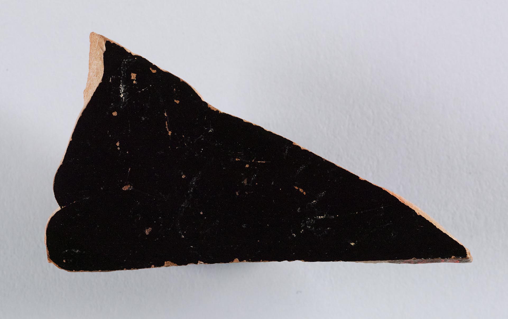 Interior view of the fragment