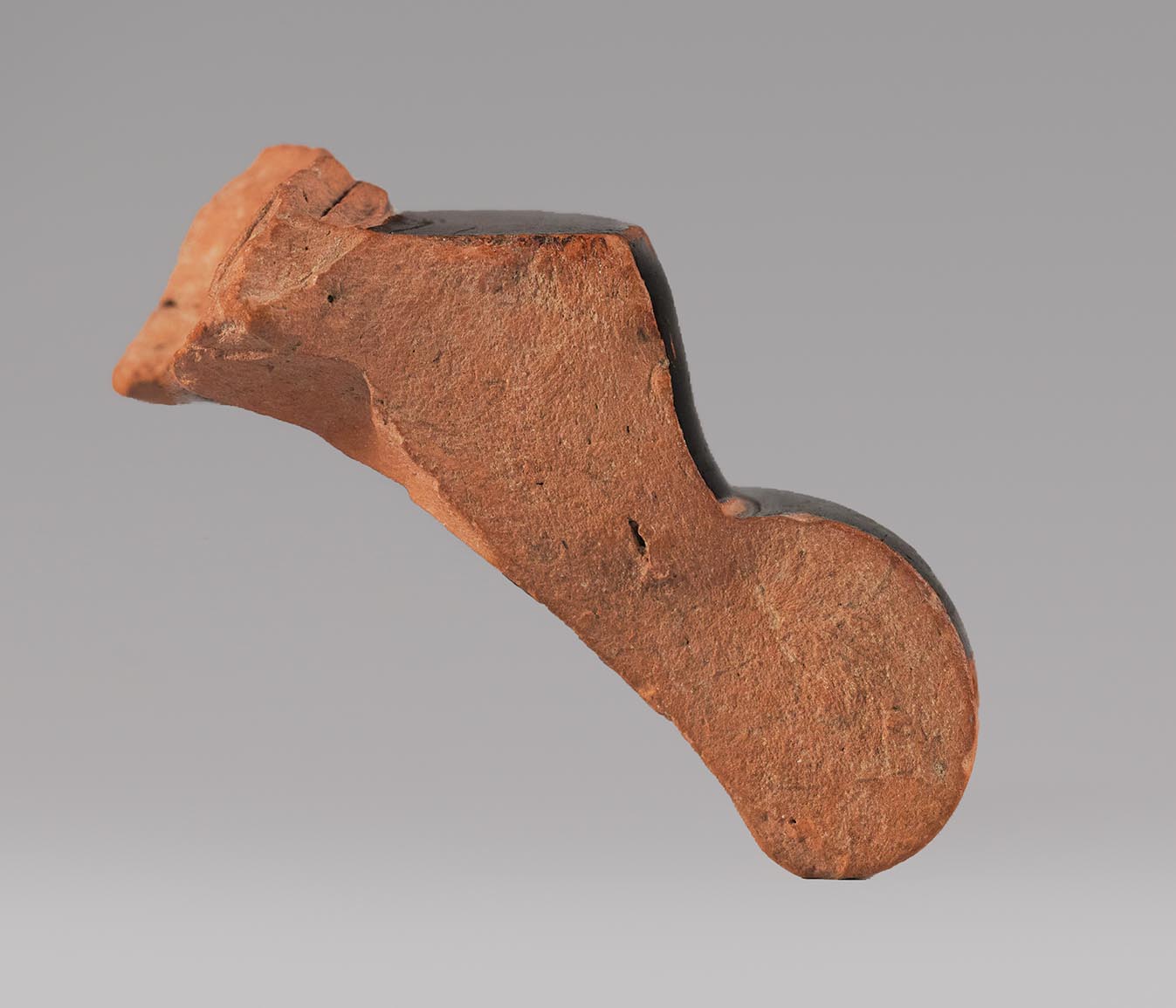 Profile view of the fragment