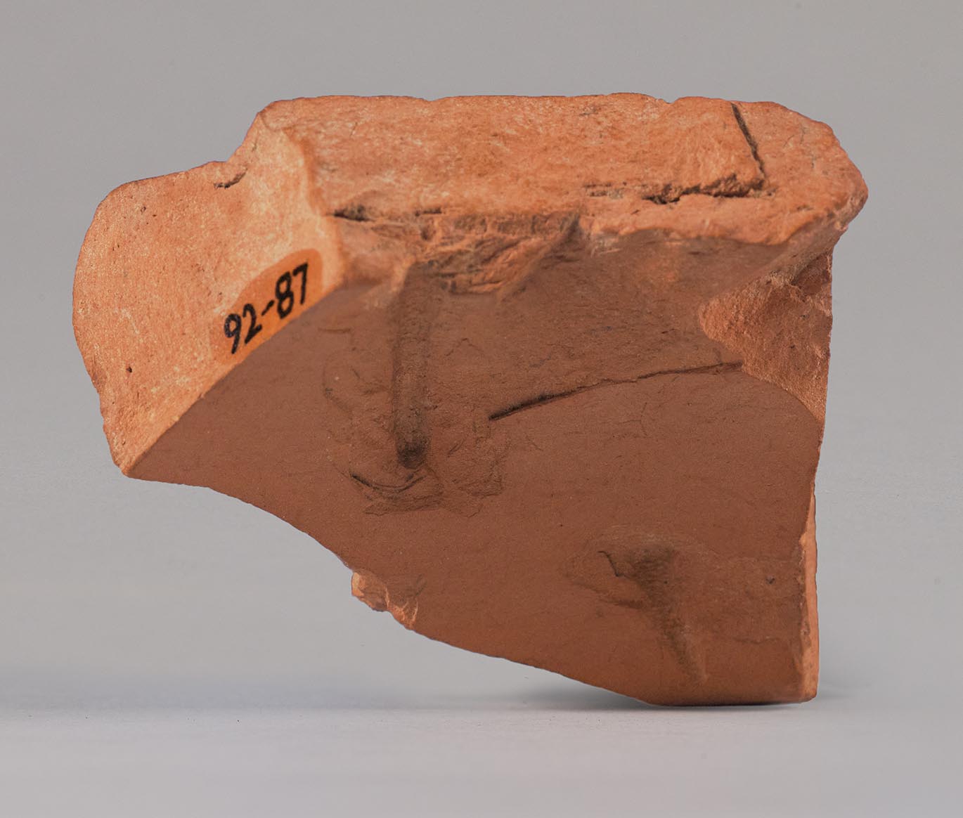 Interior view of the fragment