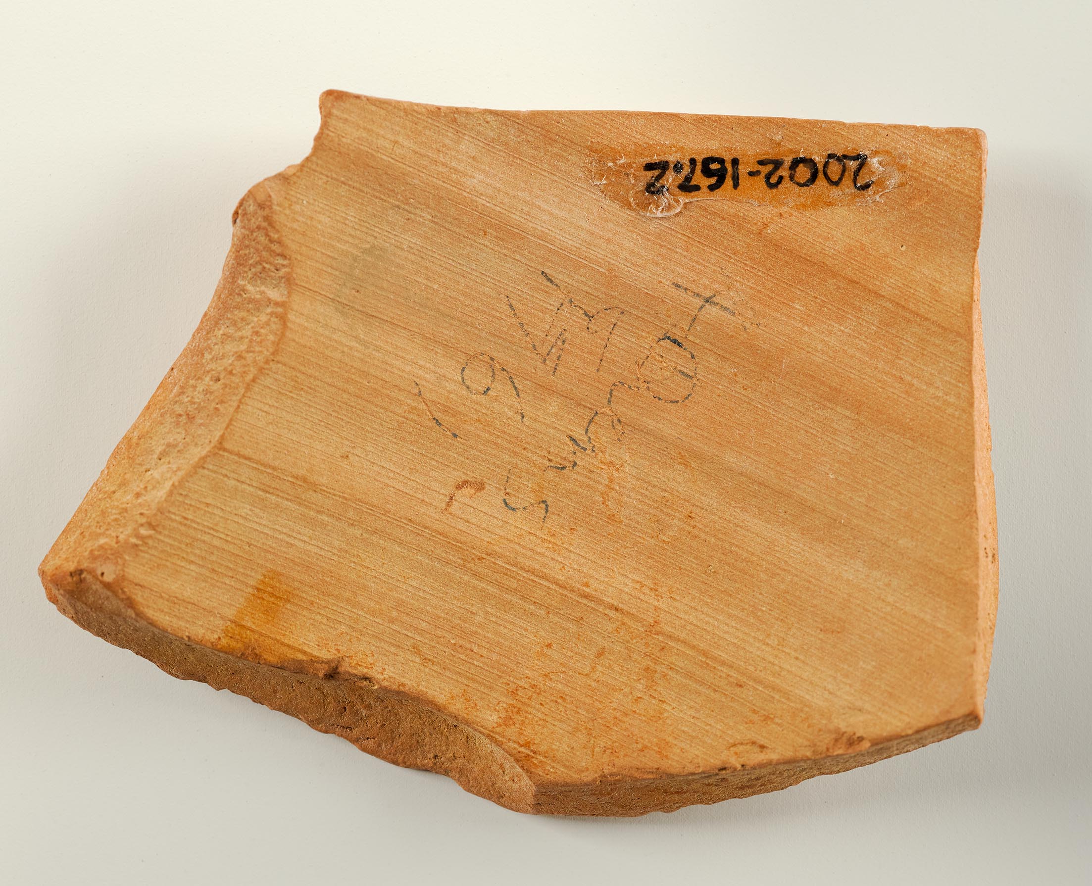 Interior view of the fragment