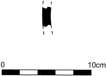 Line drawing profile view of the fragment